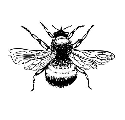 Everything But A Beach